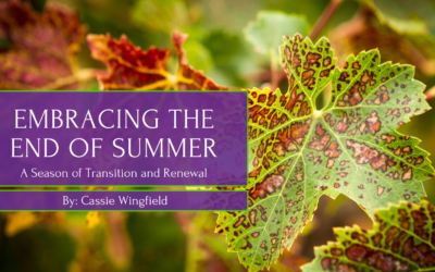 Embracing the End of Summer: A Season of Transition and Renewal