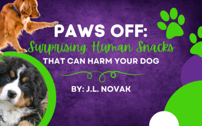 Paws Off: Surprising Human Snacks That Can Harm Your Dog